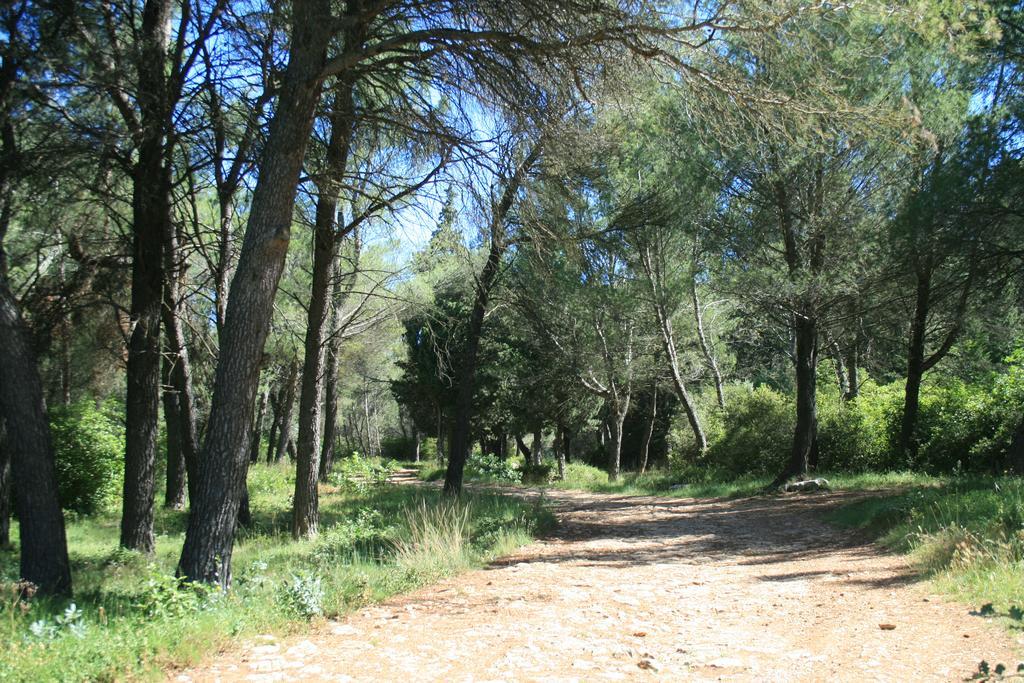 Chambres D'Hotes Le Puid De Gauthier Saturargues エクステリア 写真